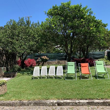 Casa Praia E Campo Viana do Castelo Zewnętrze zdjęcie